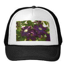 clematis gorros bordados