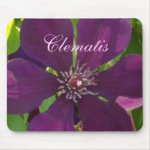 Clematis magenta profundo tapete de raton