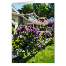 Clematis púrpura en la cerca rústica tarjetas