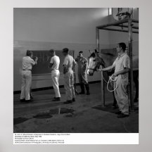 Clinic animal grande, Uc Davis, 1966 Posters