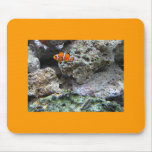 ClownFish - ocellaris del Amphiprion Alfombrilla De Ratones