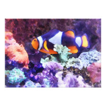 Clownfish y coral anuncio