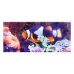 Clownfish y coral lona publicitaria