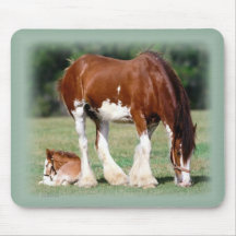 clyde_mare_foal_mousepad alfombrillas de ratones
