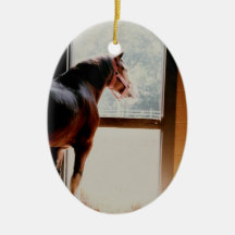 Clydesdale majestuoso ornamente de reyes