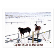 CLYDESDALES EN LA NIEVE POSTAL