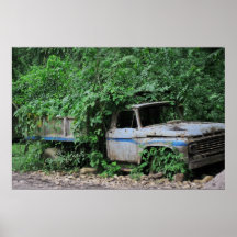 Coche quebrado en la selva poster