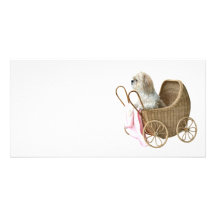 Cochecillo de bebé de Shih Tzu Tarjetas Fotográficas Personalizadas