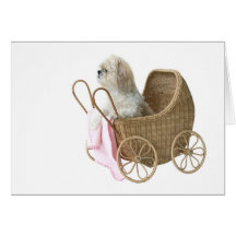 Cochecillo de bebé de Shih Tzu Tarjeton