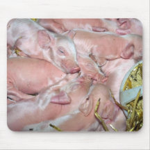 Cochinillos recién nacidos tapete de ratón