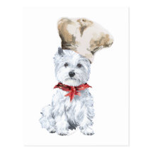Cocinero de Terrier blanco de montaña del oeste Tarjetas Postales