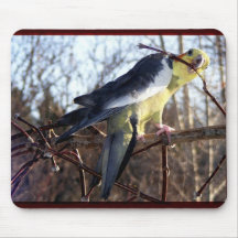 Cockatiel Mousepad 1 Tapetes De Raton