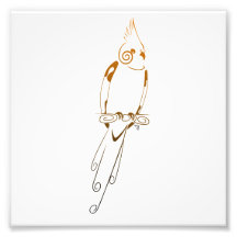 Cockatiel Cojinete