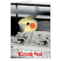 Cockatiel-Que falta usted Felicitación