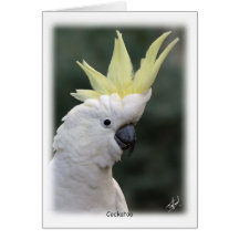Cockatoo con cresta 9Y331D-005 del azufre Felicitación