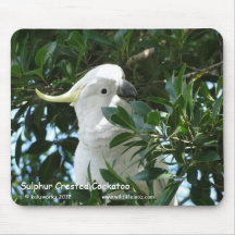 Cockatoo con cresta del azufre tapetes de raton