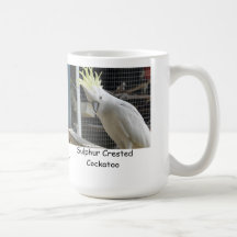 Cockatoo con cresta del azufre tazas