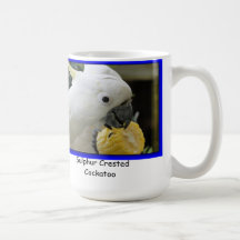 Cockatoo con cresta del azufre tazas de café