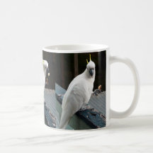 Cockatoo en el desayuno tazas de café