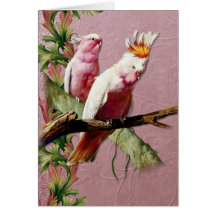 Cockatoos rosados de reclinación - personalizar tarjeton