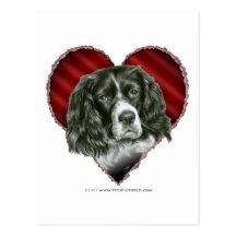 Cocker spaniel con el corazón postal