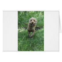 cocker spaniel felicitacion 