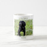 Cocker spaniel Gundog Tazas De Café