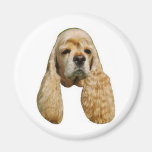 Cocker spaniel imán de nevera