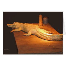 Cocodrilo del albino tarjetón