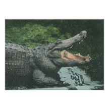 Cocodrilo del vintage, reptil marino de la vida an anuncios personalizados
