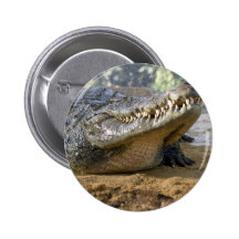 cocodrilo pin