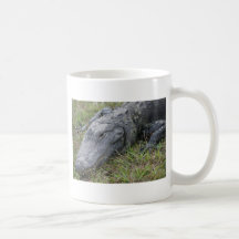 Cocodrilo Tazas De Café