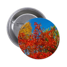 Coexistencia Pin
