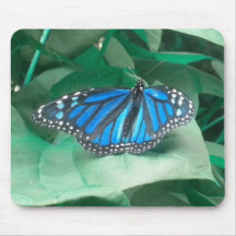 Cojín de ratón azul de la mariposa de monarca tapete de raton