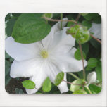 Cojín de ratón blanco del clematis alfombrillas de raton 