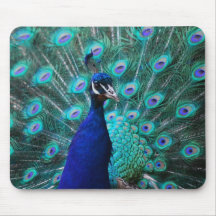 Cojín de ratón bonito del pavo real alfombrilla de ratón
