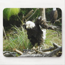 Cojín de ratón de Eagle Tapete De Ratón