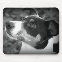 Cojín de ratón de Jack Russell Alfombrilla De Ratón