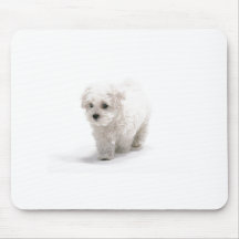 Cojín de ratón de la foto de Bichon Frise Tapete De Ratón