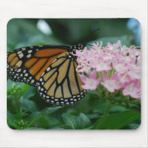 Cojín de ratón de la mariposa de monarca alfombrilla de ratones