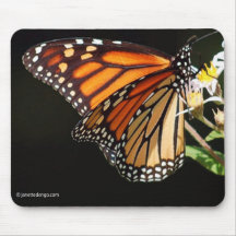 Cojín de ratón de la mariposa de monarca alfombrilla de ratones