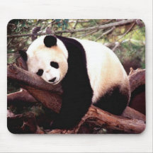 Cojín de ratón de la panda el dormir alfombrilla de raton