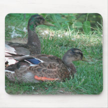 Cojín de ratón de los hermanos del pato silvestre alfombrillas de ratones