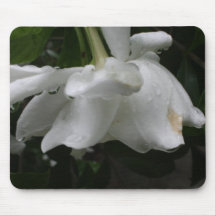 Cojín de ratón del Gardenia Tapetes De Ratones