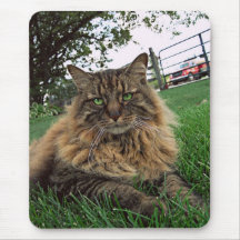 Cojín de ratón del gato alfombrilla de raton