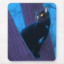 Cojín de ratón del gato negro alfombrillas de ratones