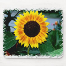 Cojín de ratón del girasol tapete de raton
