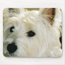 Cojín de ratón del perrito de Bichon Frise Tapetes De Ratones