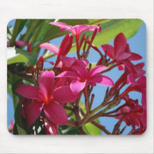 Cojín de ratón del Plumeria Alfombrilla De Raton