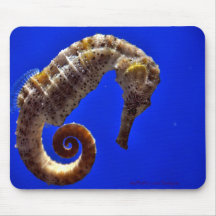 Cojín de ratón del Seahorse Tapetes De Ratón